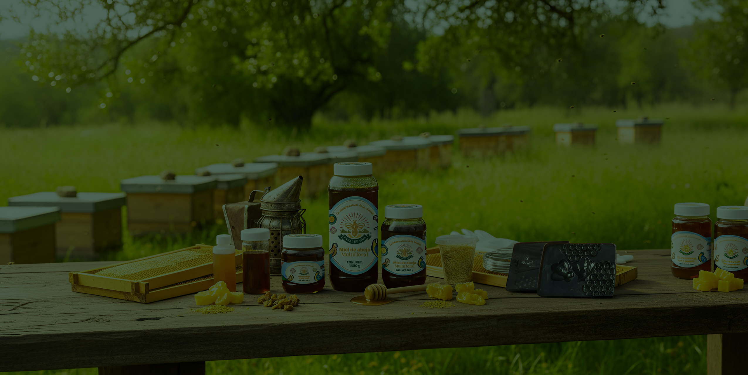 Panal de vida tienda con productos elaborados con miel de abeja y propoleo natural